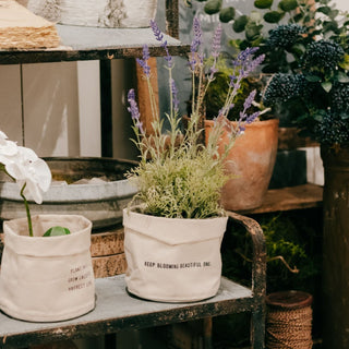 Keep Blooming Beautiful One - Large Canvas Planter