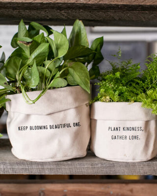 Three white canvas planters with various plants on them, adding a touch of nature and elegance to any space.